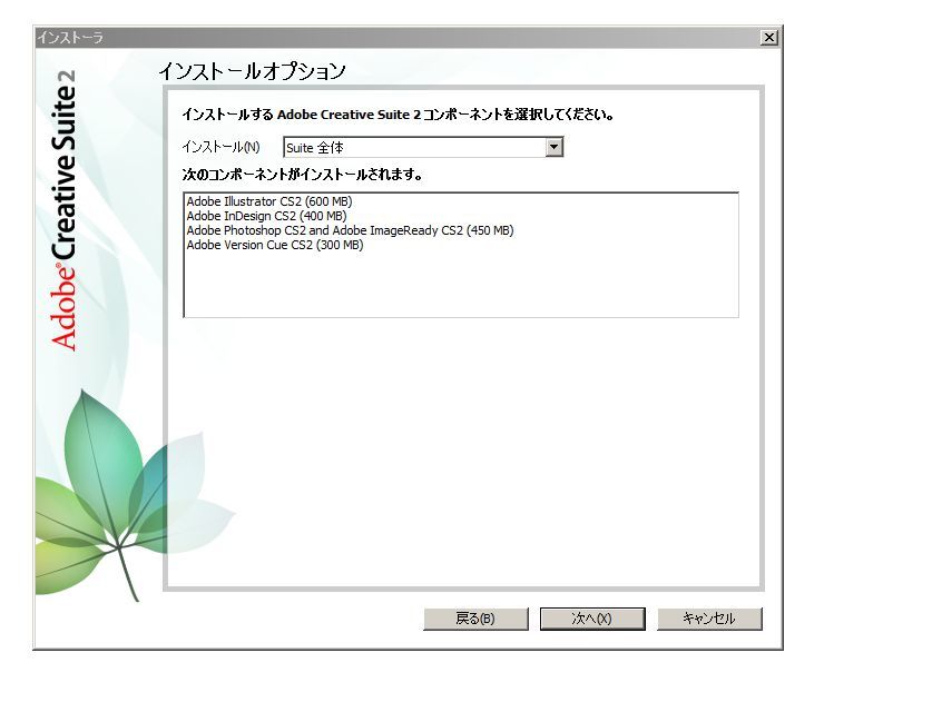 A-02669●Adobe Creative Suite 2 Standard Windows 日本語版 Suite Premium 認証不要(CS2 Photoshop Illustrator Indesign Version Cue)_画像6