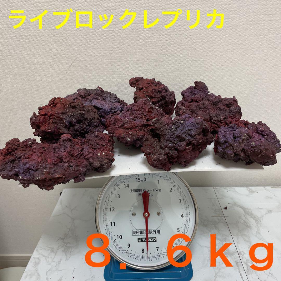 お1人様1点限り】 未使用品 JS人工ライブロックおまけつき