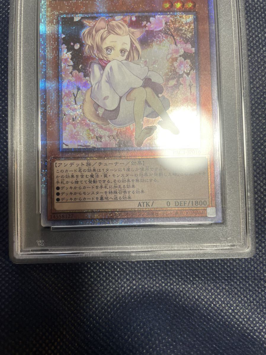 遊戯王 灰流うらら プリズマティックシークレット PSA 10 遊戯王 灰流うらら プリズマティックシークレット PSA 10