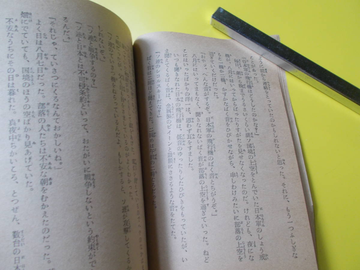 【天と地に怒る声】霜野二一彦：え/藤口透吾：文/中1・実録文庫/中学生の友付録/小学館/出版年不明/昭和_画像8