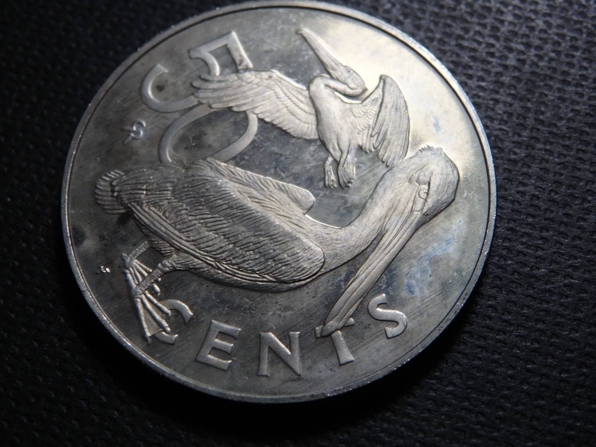 バージンアイランドの大型コイン１９７３年 ５０セント硬貨 外国コイン ヴァージン諸島の画像2