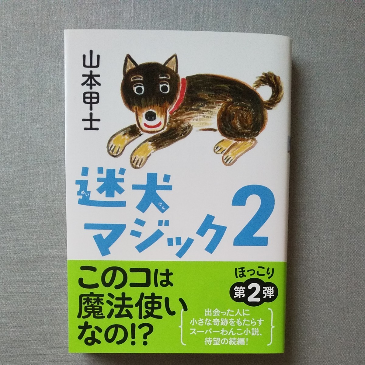 迷犬マジック 2/山本甲士|PayPayフリマ