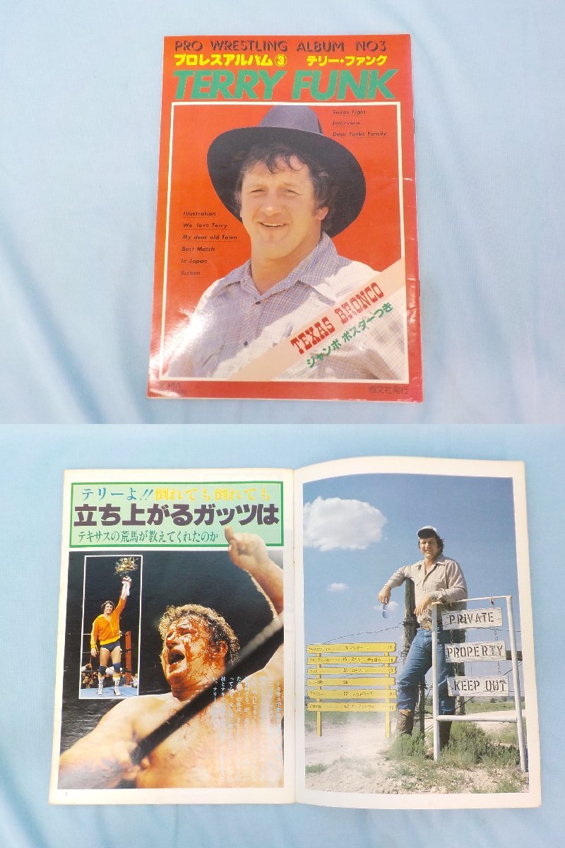 書籍 プロレスアルバム さよならテリー・ファンク 立ち上がれ アントニオ猪木 3冊セット ポスターなし