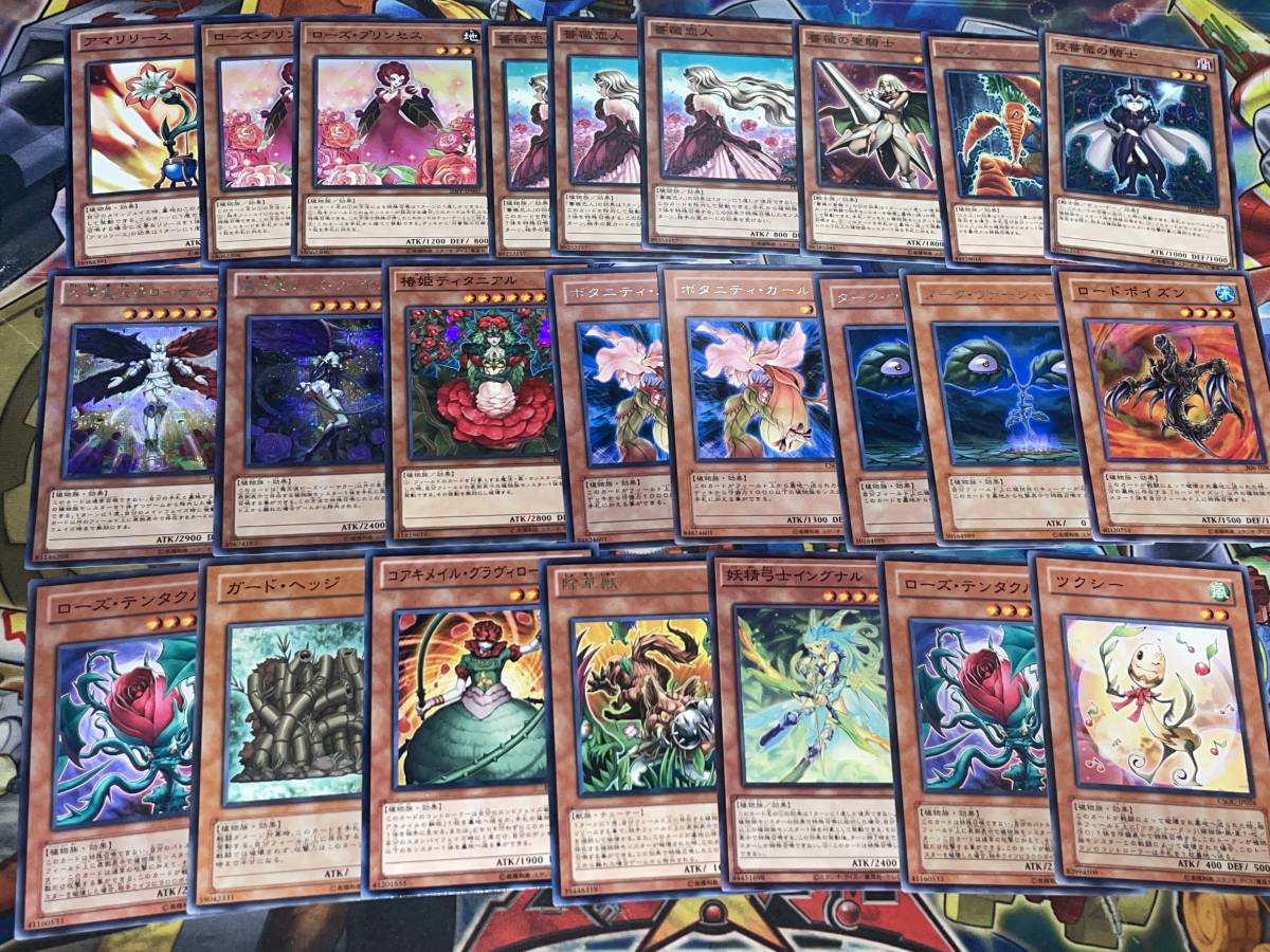 遊戯王 5D's 十六夜アキデッキセット ブラックローズドラゴン 遊戯王 5D's 十六夜アキデッキセット ブラックローズドラゴン