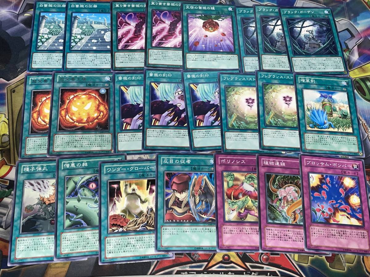 遊戯王 5D's 十六夜アキデッキセット ブラックローズドラゴン 遊戯王 5D's 十六夜アキデッキセット ブラックローズドラゴン