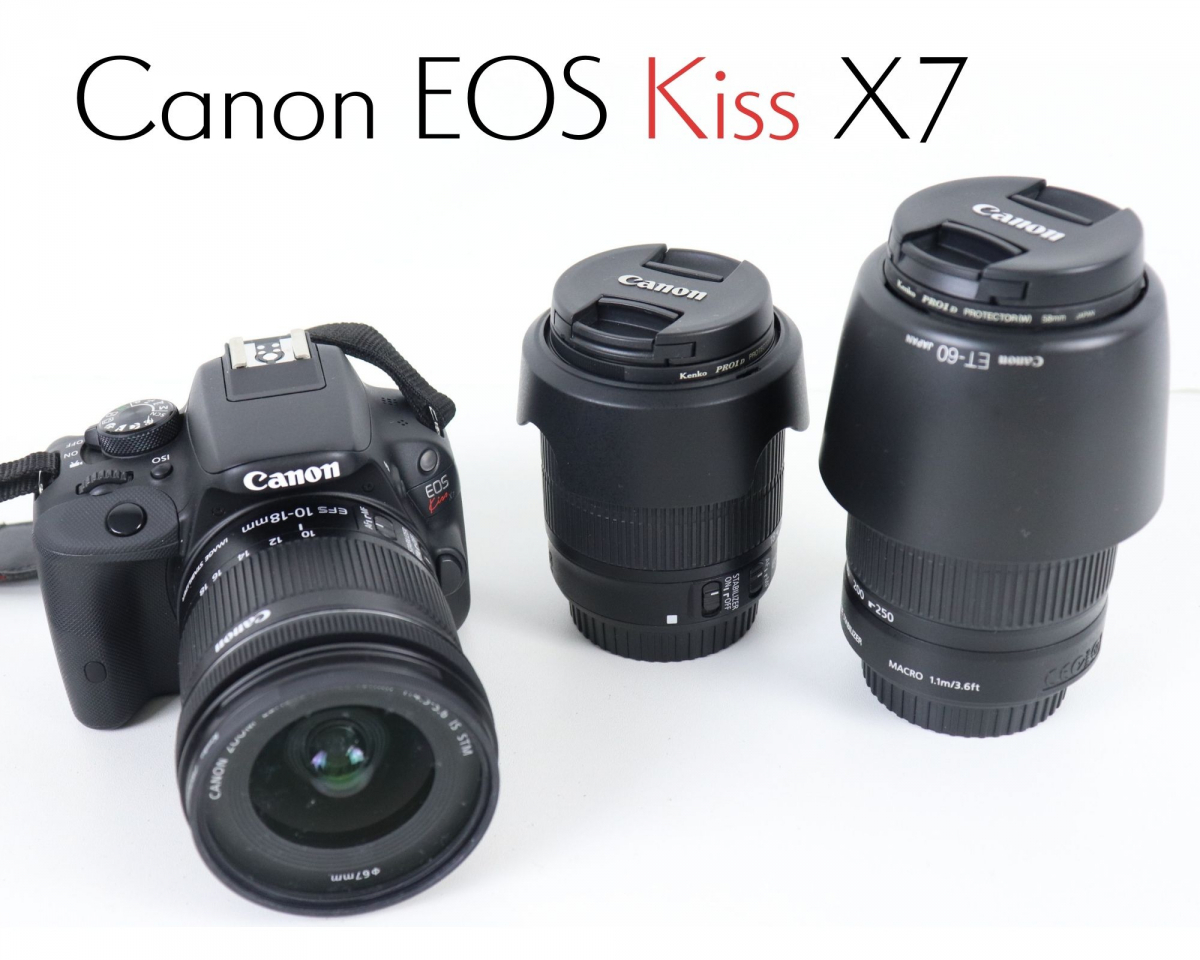 【通電OK】Canon EOS Kiss X7 キャノン デジタル一眼レフカメラ レンズ レンズフード カメラバッグ 充電器 SDカード 付き EF-S 040JDEP00_画像1