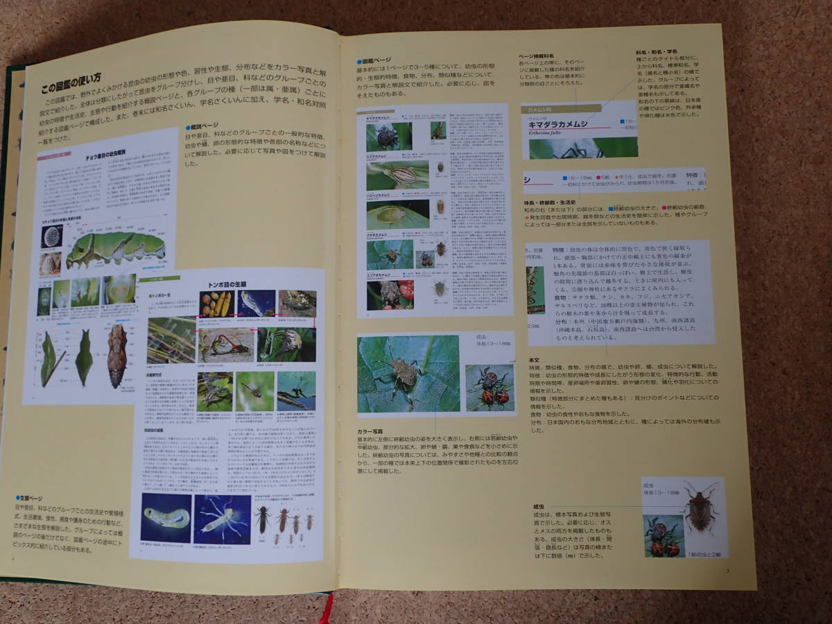 日本産幼虫図鑑 学研 日本産幼虫図鑑 学研