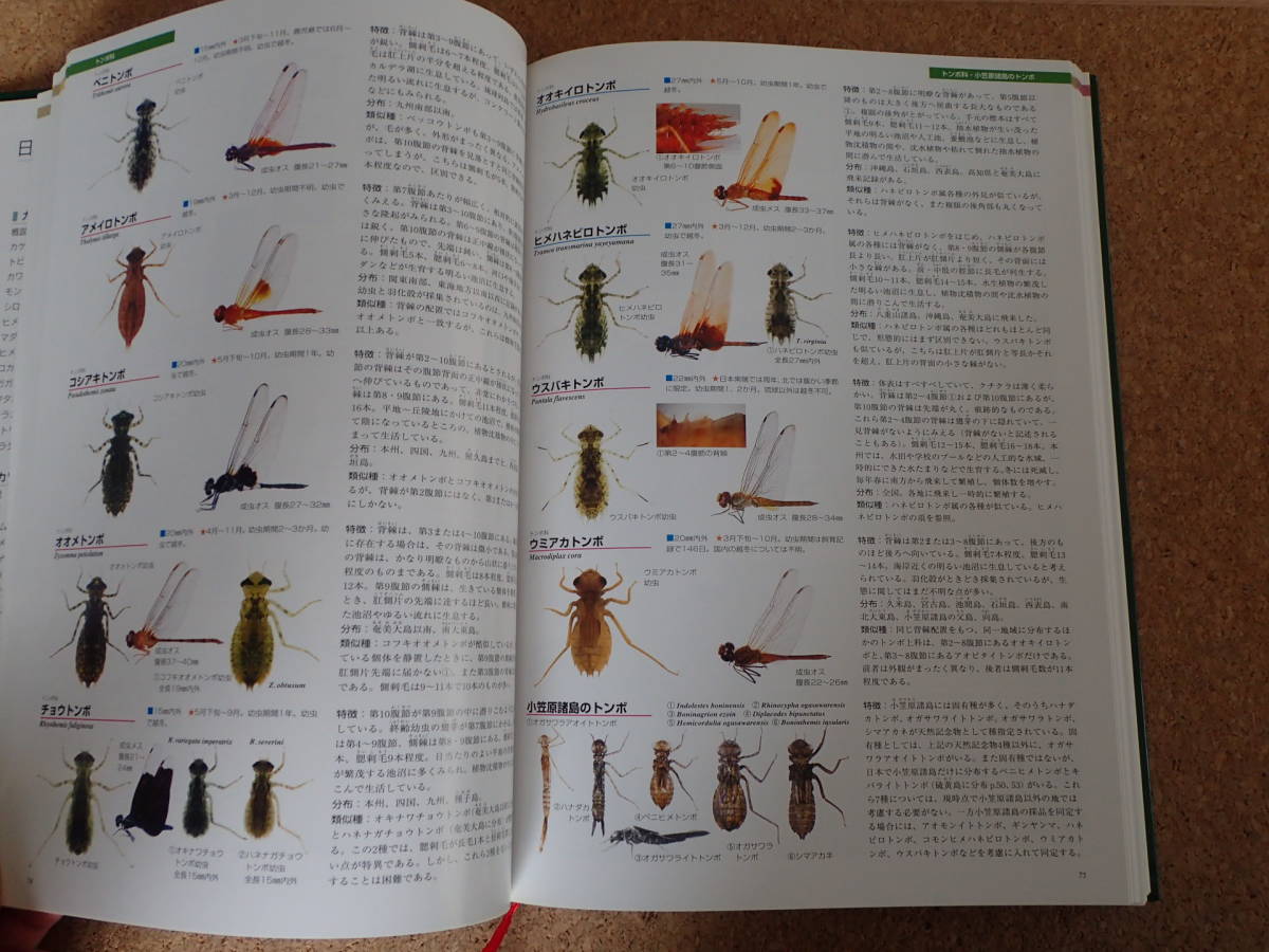 日本産幼虫図鑑 学研 日本産幼虫図鑑 学研