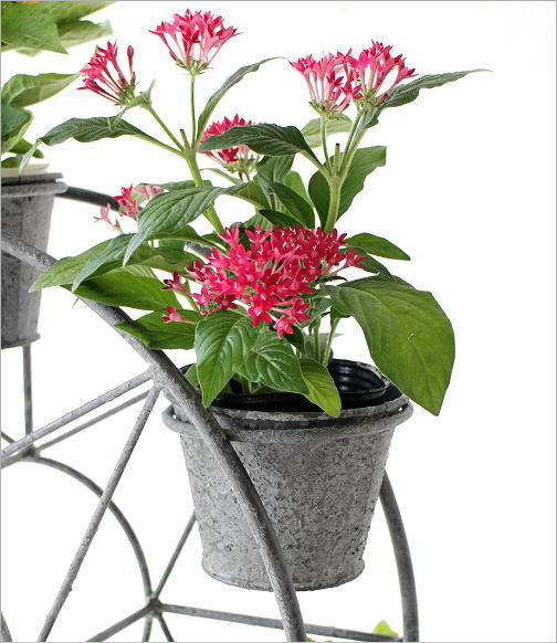  planter stylish planter stand flower stand viewing car vinyl pot bottom hole equipped gardening Ferrie s Wheel planter 