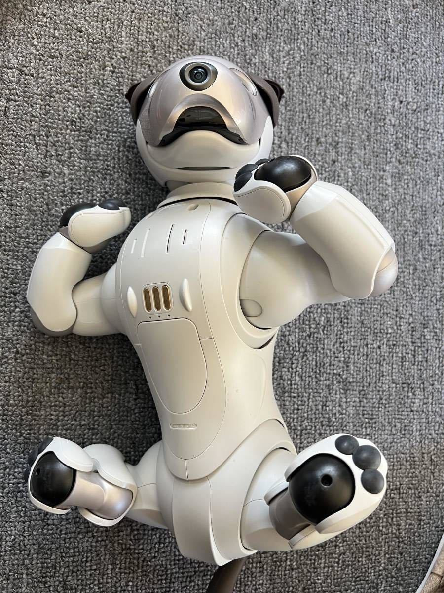 SONY AIBO アイボ ERS-1000 - coastalcareeracademy.com
