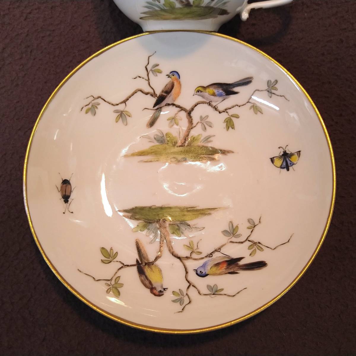 古 レア! 貴重 19世紀 マイセン、ドイツ アンティーク ティー・カップ&ソーサー ハンドペイント 鳥絵 1850〜80年頃 6