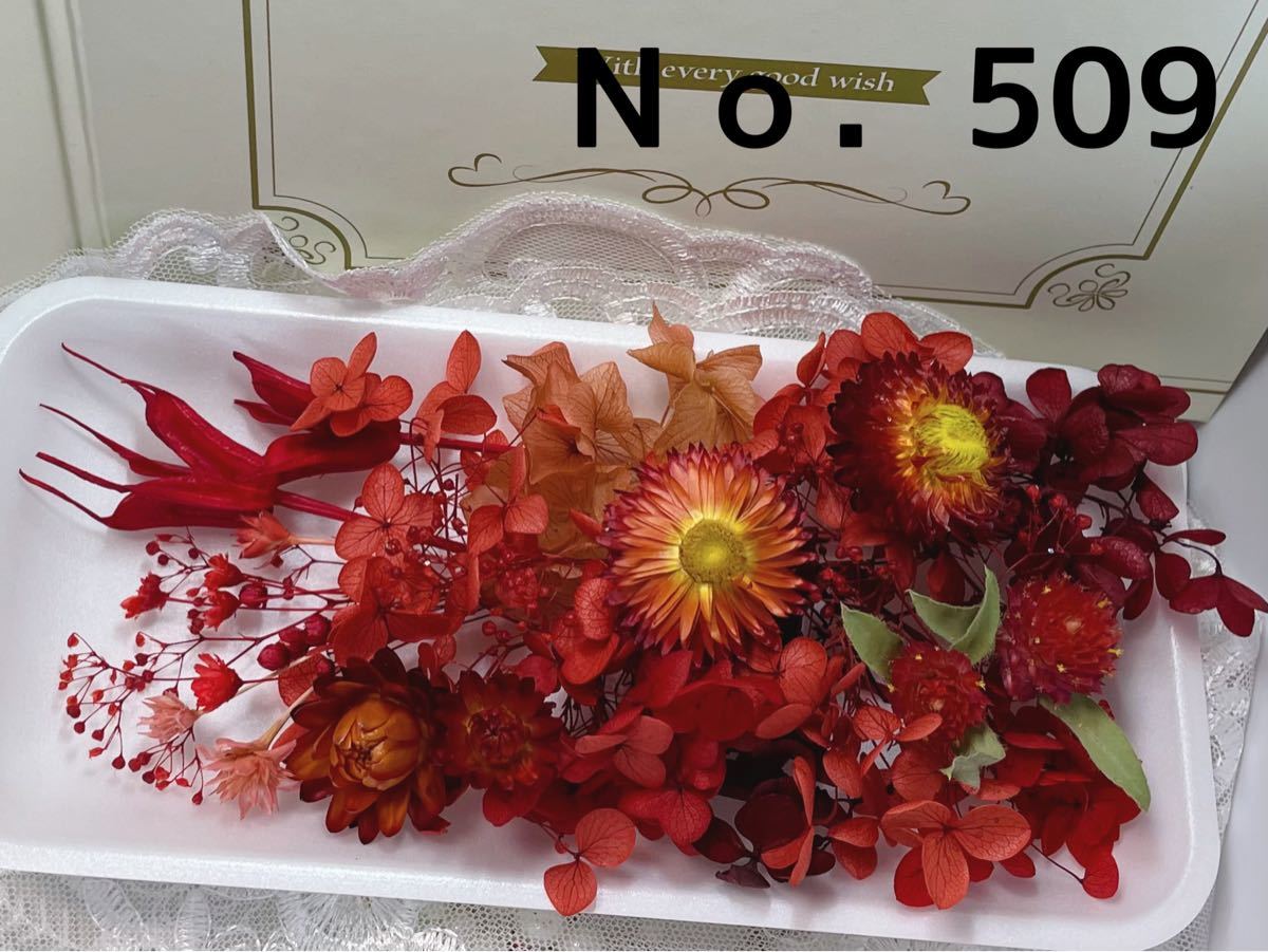 花材セット レッド No.509 | www.mclegal.info