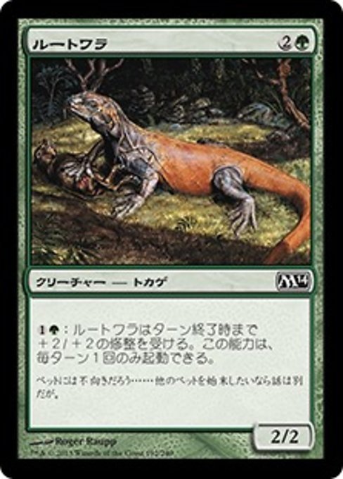 MTG ■緑/日本語版■《ルートワラ/Rootwalla》基本セット2014 M14_画像1