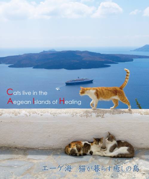 「エーゲ海・猫が暮らす癒しの島」(Blu-ray Disc) 送料無料!_画像1