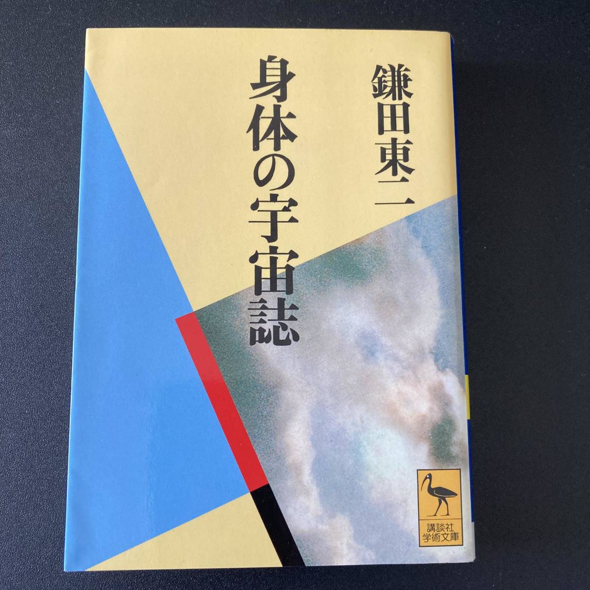 身体の宇宙誌 (講談社学術文庫) / 鎌田 東二 (著)