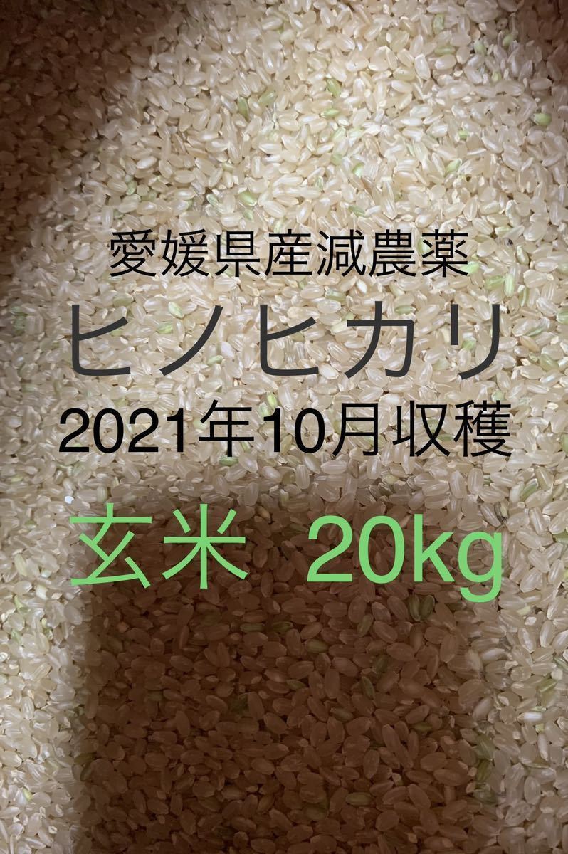 ヒノヒカリ 玄米約20キロ 愛媛県産 2021年10月収穫古米 ひのひかり 減農薬 玄米のまま発送 20kg(その他)｜売買されたオークション情報、yahooの商品情報をアーカイブ公開  - オークファン（aucfan.com）