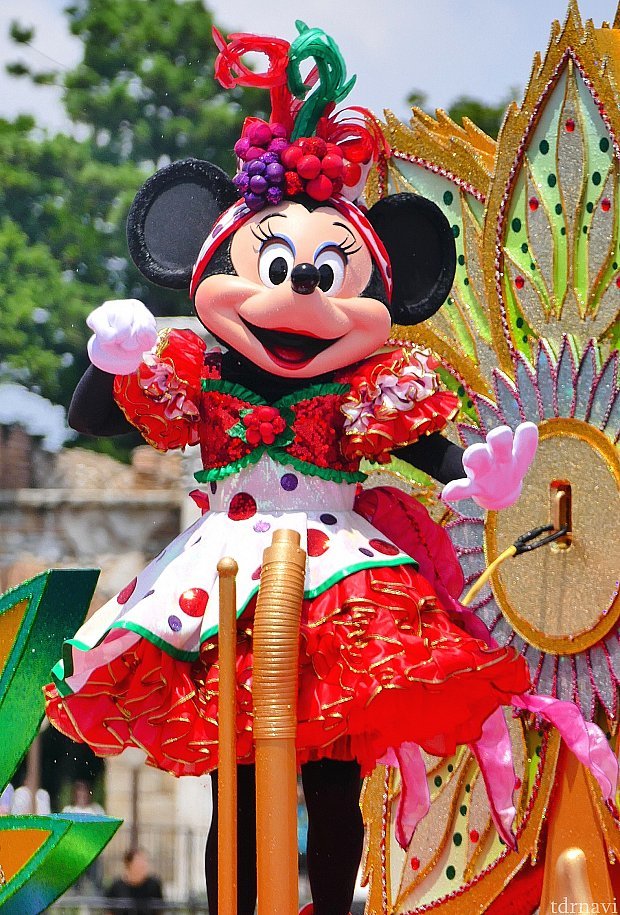 東京ディズニーシー(TDS) ミニーのトロピカルスプラッシュ 東京ディズニーシー(TDS) ミニーのトロピカルスプラッシュ