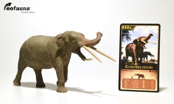 Eofauna 1/35 サイズ KONOBELODON コノベロドン 象 ゾウ マンモス 絶滅 動物 フィギュア プラモデル キッズ 大人のおもちゃ 模型 23cm級_画像1