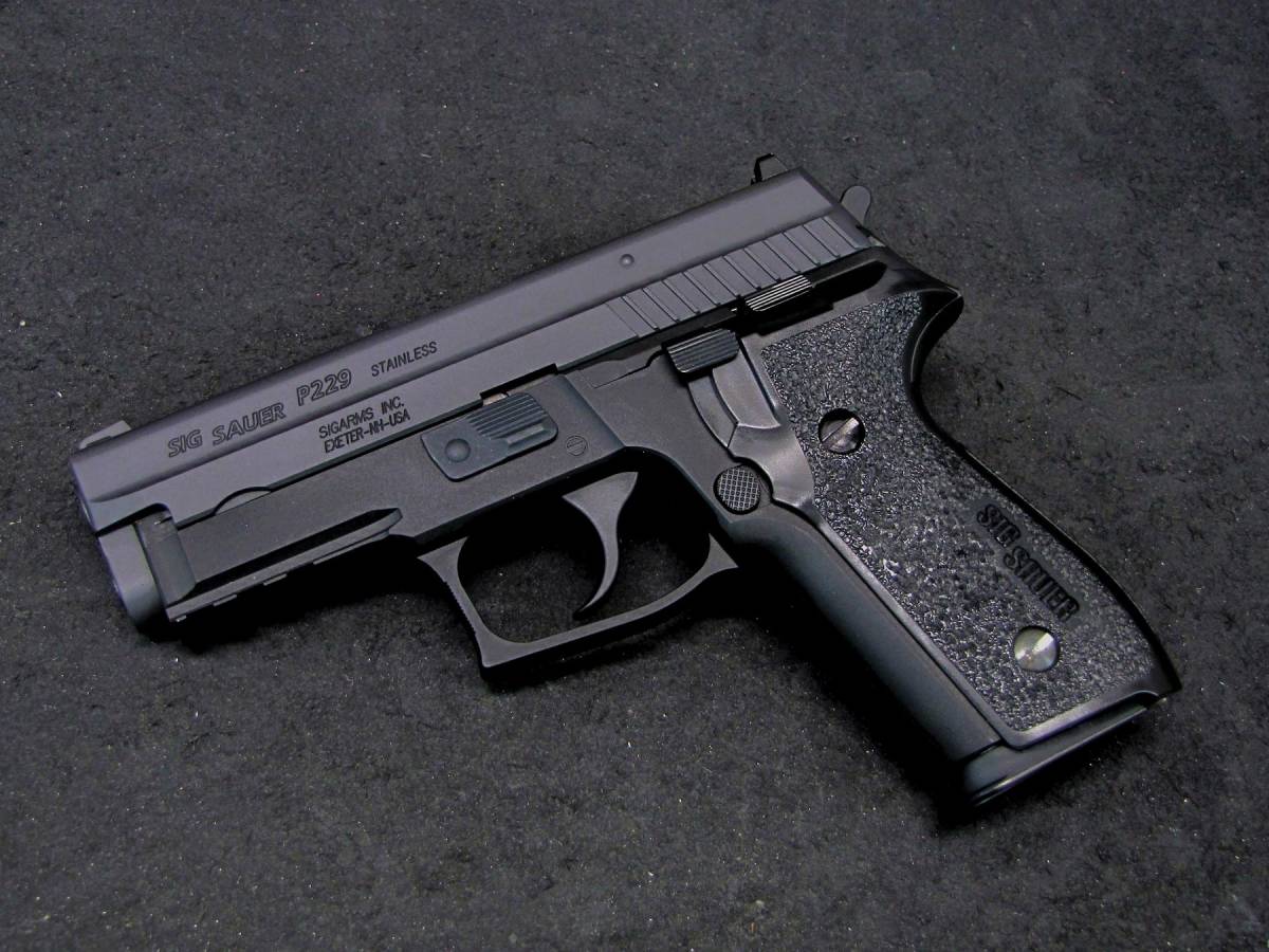 WE SIG P229R リアル刻印、塗装。 www.web.movilidadmanta.gob.ec