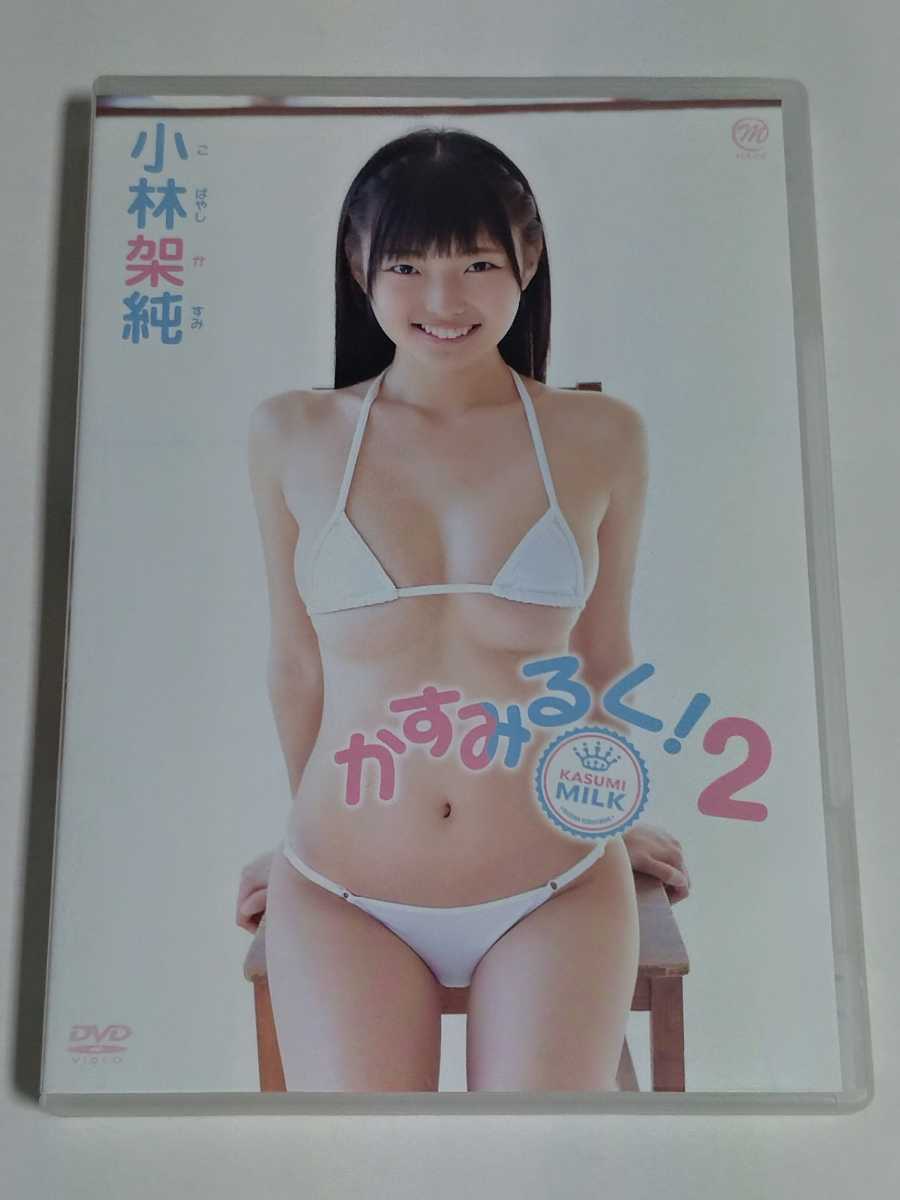 グラビア アイドル の 激安 dvd ショップ