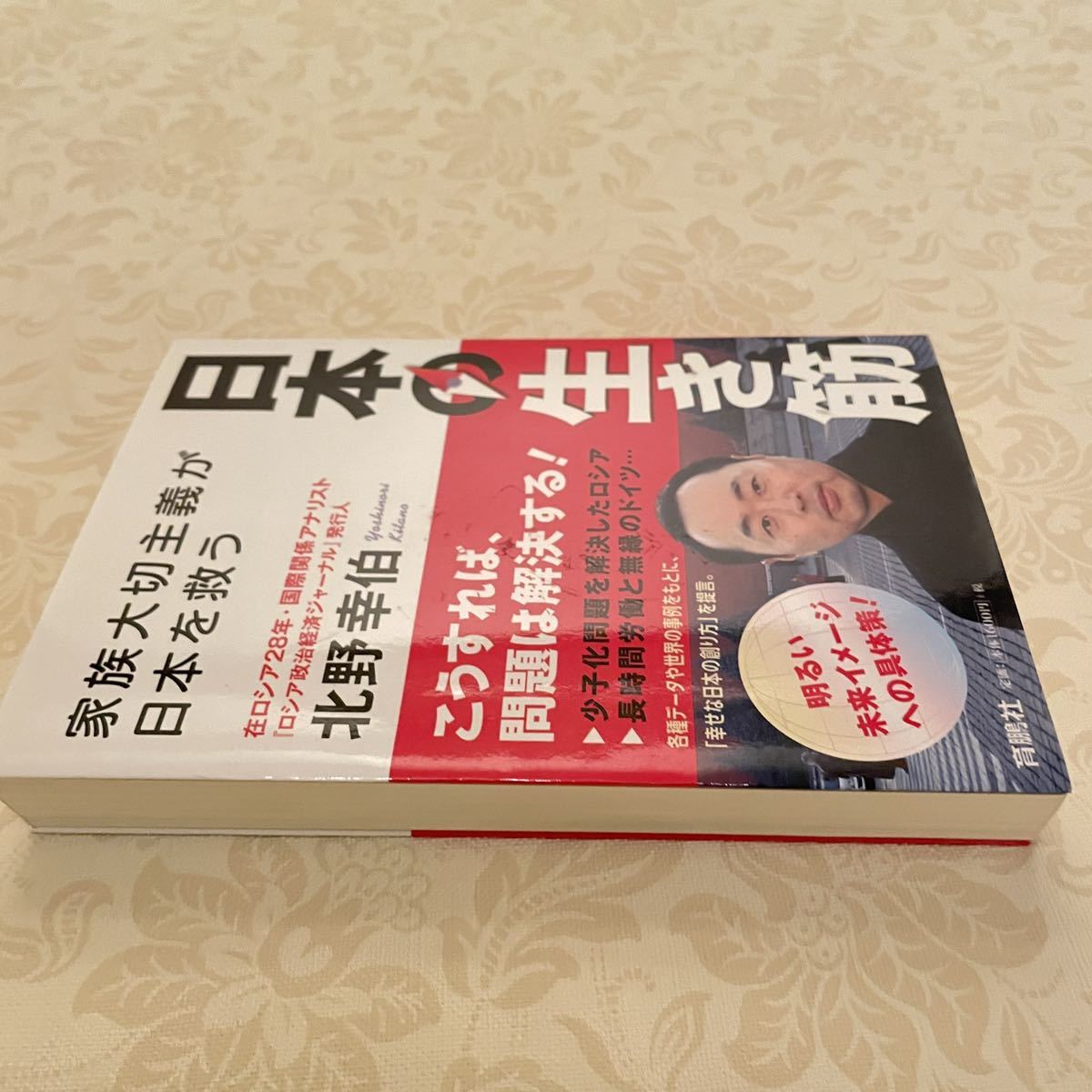 USED 日本の生き筋　家族大切主義が日本を救う 北野幸伯／著_画像5