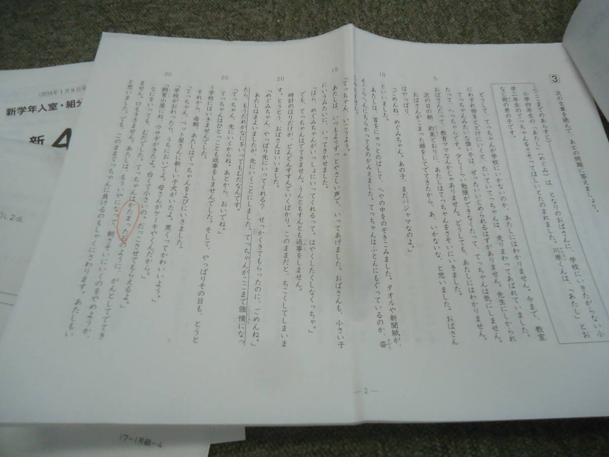 サピックス 新学年入室組分けテスト 新4年(現3年)国算 2018年1 サピックス 新学年入室組分けテスト 新4年(現3年)国算 2018年1