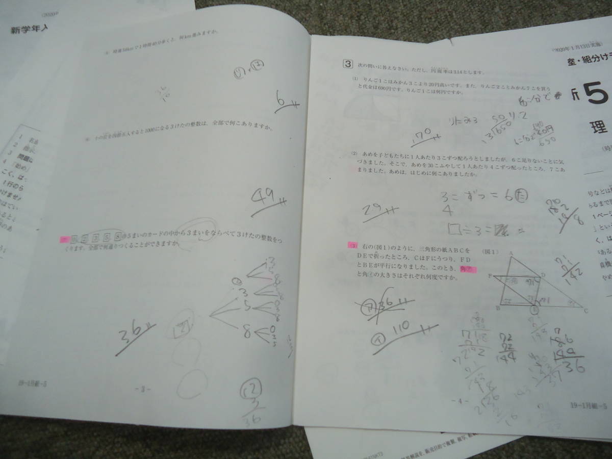 サピックス 新学年入室組分けテスト 新5年(現4年)国算理社 サピックス 新学年入室組分けテスト 新5年(現4年)国算理社