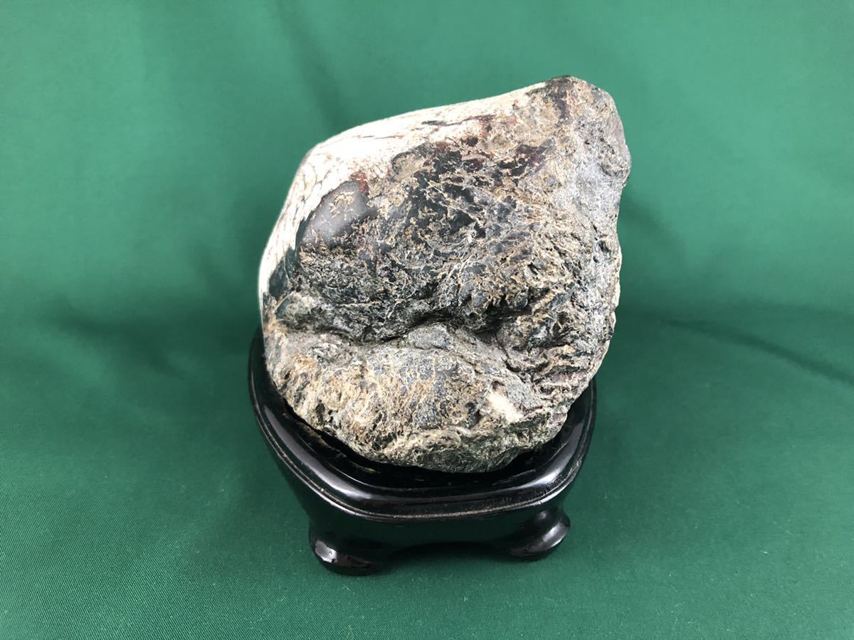 送料無料】◇鑑賞石◇岐阜県根尾谷 菊花石 菊花直径13cm◇木製専用台付