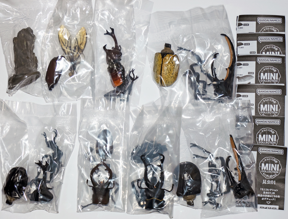 いきもの大図鑑ミニコレクション 昆虫01 全6種 ヤマトカブトムシ ヘラクレス ギラファノコギリクワガタ フィギュア(生き物)|売買されたオークション情報、yahooの商品情報をアーカイブ公開 - オークファン(aucfan.com) いきもの大図鑑ミニコレクション 昆虫01 全6種 ヤマトカブトムシ ヘラクレス ギラファノコギリクワガタ フィギュア(生き物)|売買されたオークション情報、yahooの商品情報をアーカイブ公開 - オークファン(aucfan.com)