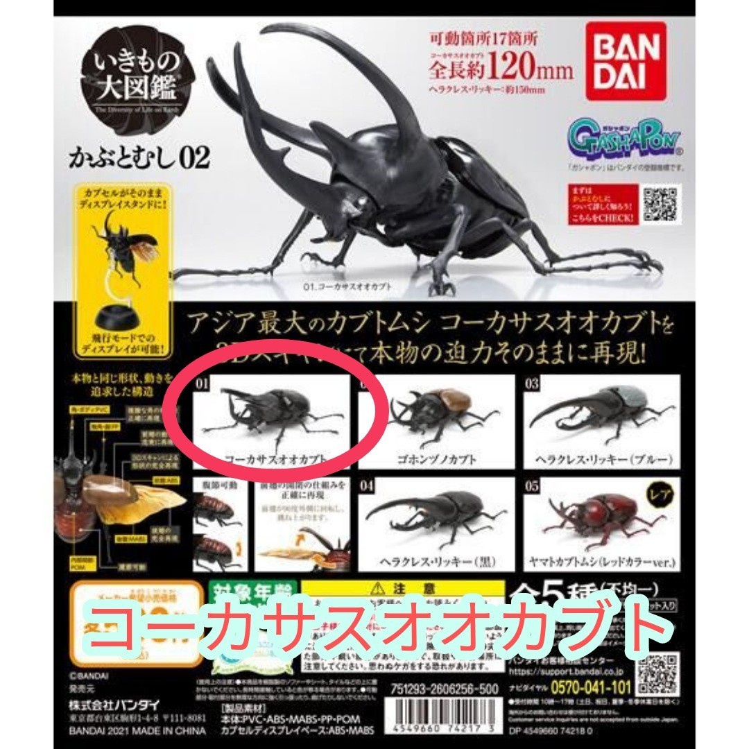 ガシャポン いきもの大図鑑 翳し かぶとむし ヤマトカブトムシ ガシャポン いきもの大図鑑 翳し かぶとむし ヤマトカブトムシ
