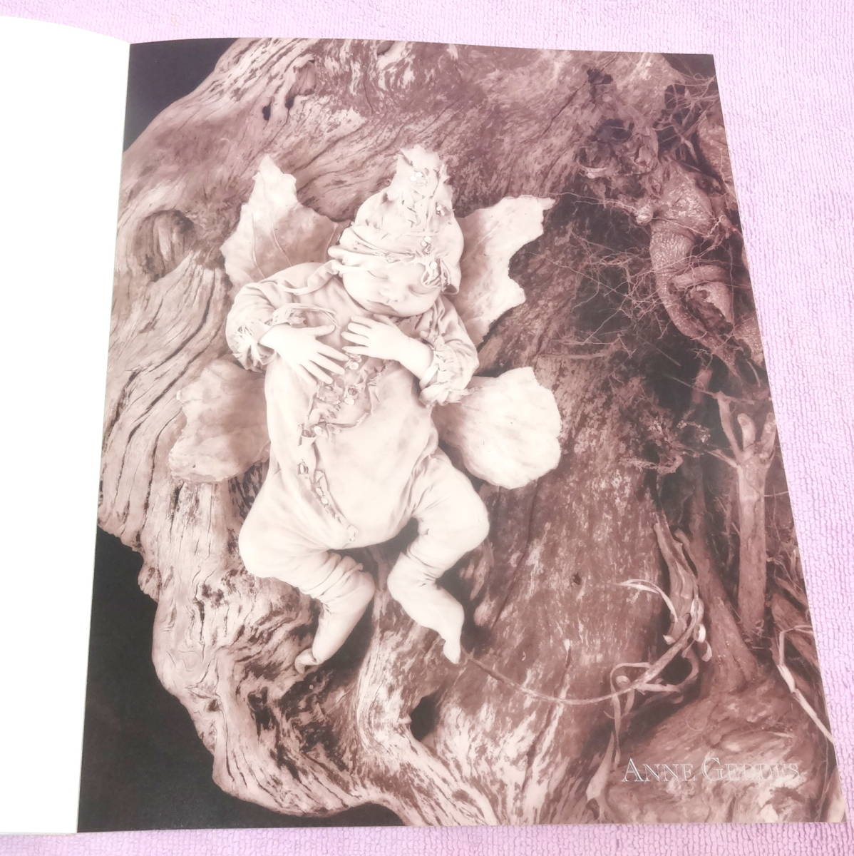 Anne Geddes PHOTO FOLIO 乳児 赤ちゃん インテリア 写真集　壁掛け 黄ばみあり アート_画像9