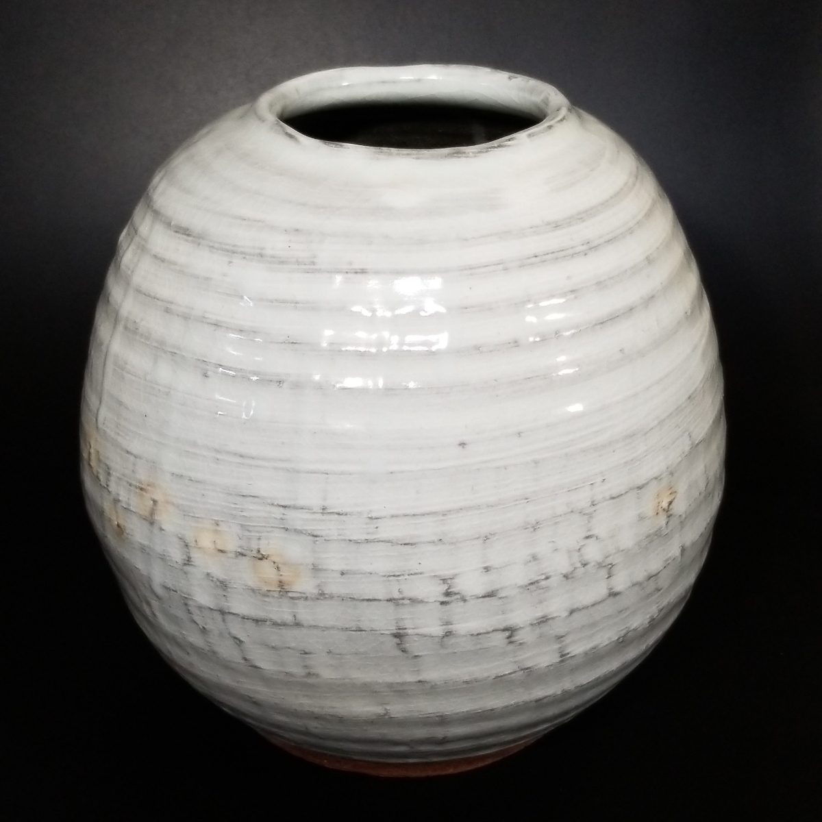 竜01）萩焼　白萩蛍壷　大壷　未使用新品　花入　花瓶　花器　高さ19cm口径8cm_画像2