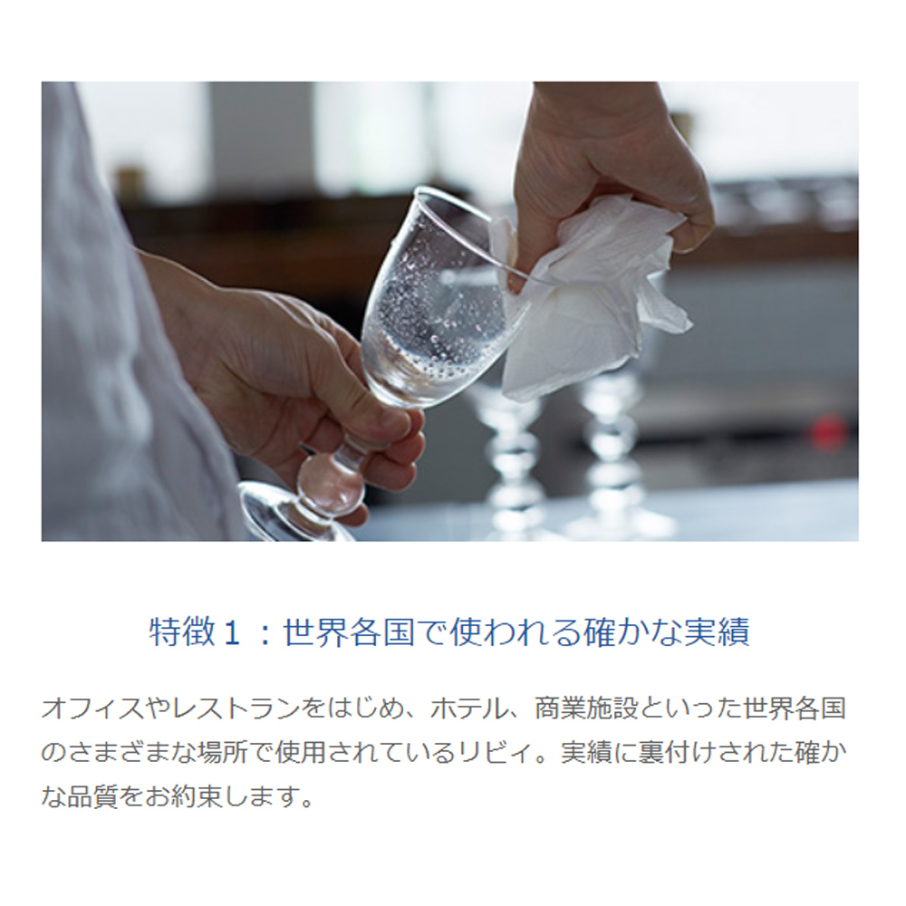 ペーパータオル リビィ エブリディ 小判サイズ 160x220mm 300枚x50パック/4580287287944/送料無料 /代金引換便不可_画像3