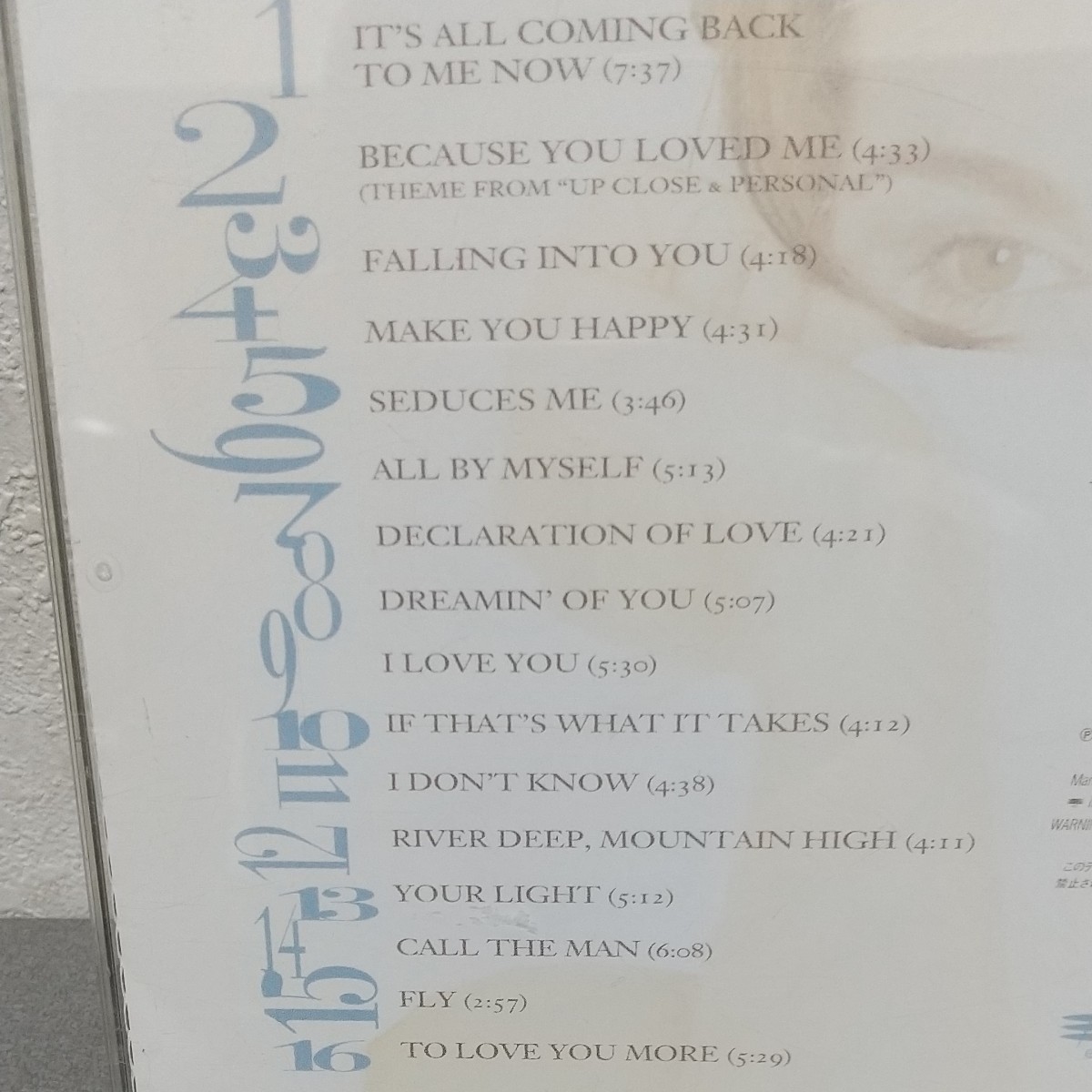 CD 帯付 セリーヌ・ディオン FALLING INTO YOU 中古品