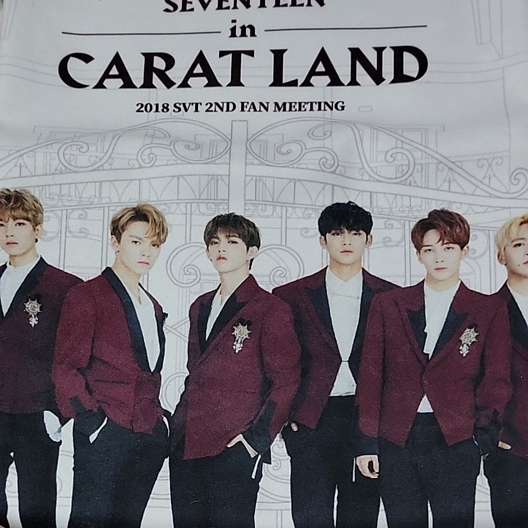 SEVENTEEN  2018年CARAT LAND グッズ タオル