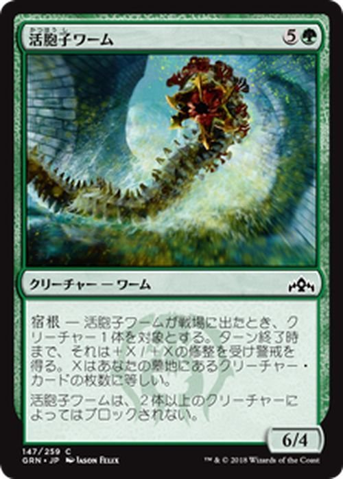 MTG マジック：ザ・ギャザリング 活胞子ワーム コモン ラヴニカのギルド GRN-147 日本語版 クリーチャー 緑_画像1