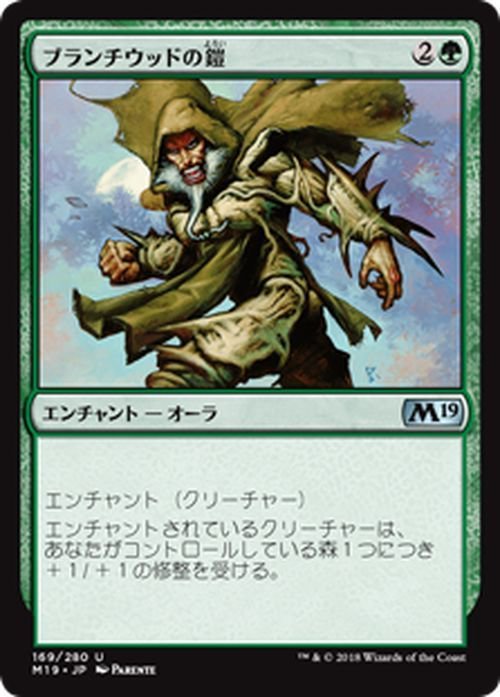 MTG マジック：ザ・ギャザリング ブランチウッドの鎧 アンコモン 基本セット2019 M19-169 日本語版 エンチャント 緑_画像1