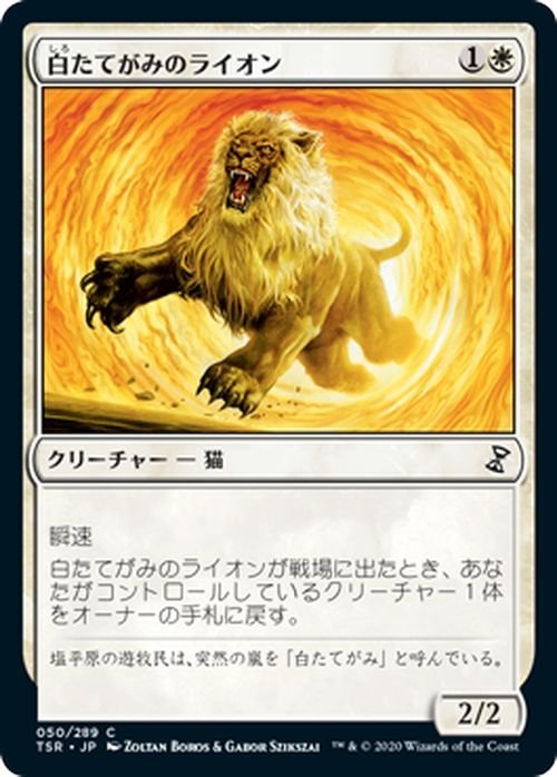MTG マジック：ザ・ギャザリング 白たてがみのライオン コモン 時のらせんリマスター TSR-050 日本語版 クリーチャー 白_画像1