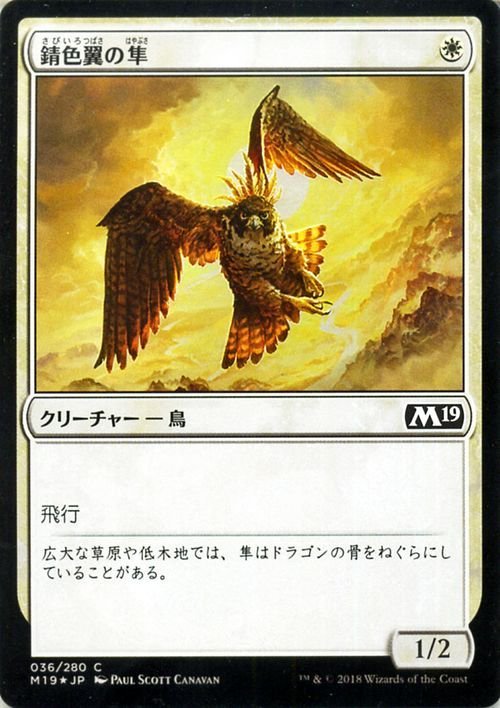 MTG マジック：ザ・ギャザリング 錆色翼の隼 フォイル・コモン 基本セット2019 M19-F036 日本語版 クリーチャー 白_画像1