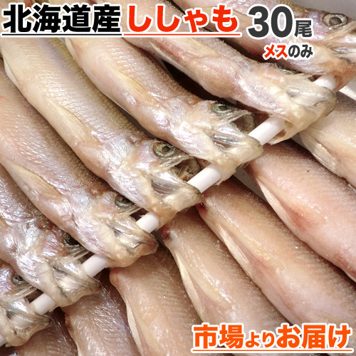 北海道産 本ししゃも メス30尾 【4個まで同梱可】 本物ししゃも ししゃも シシャモ 柳葉魚 道産ししゃも 干物 魚 贈答
