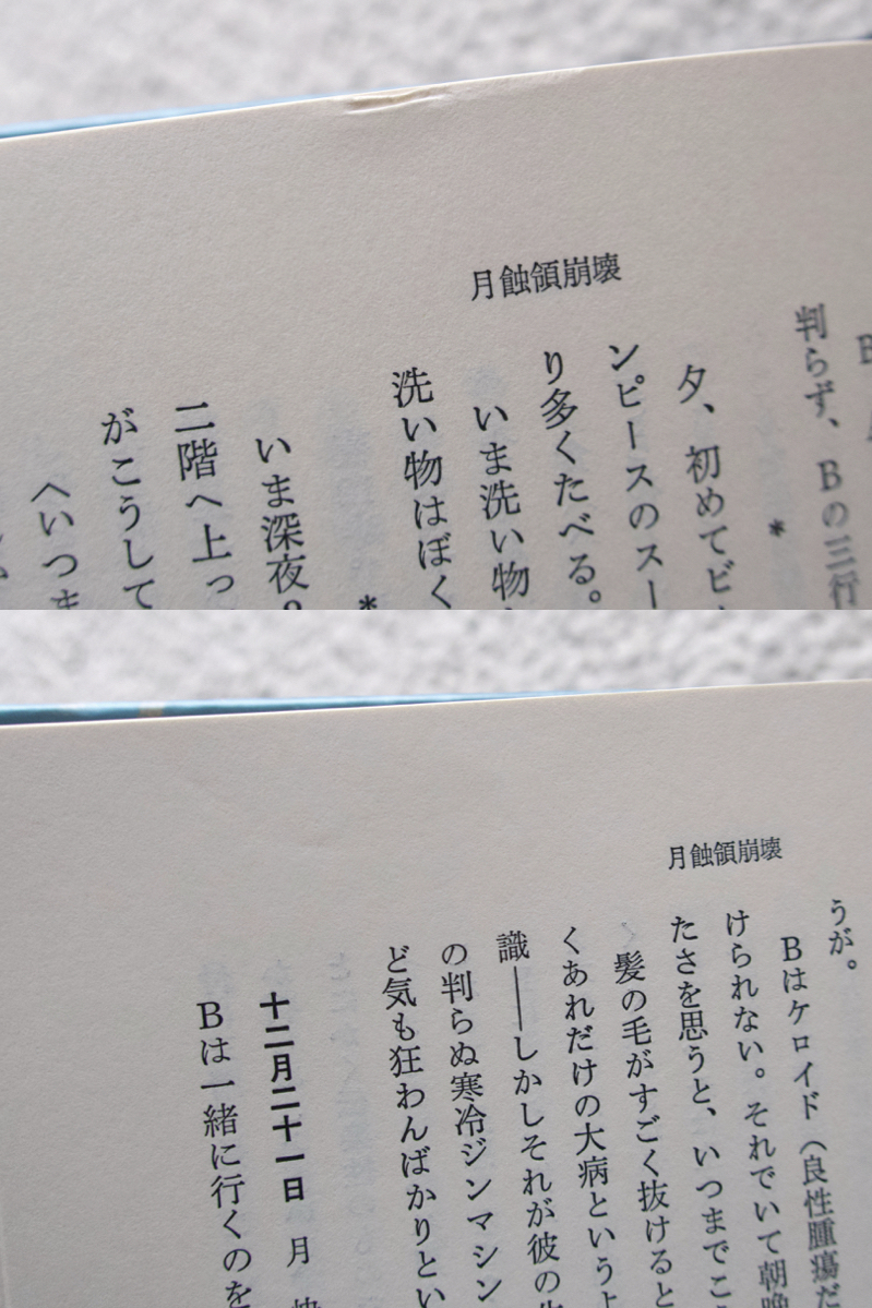 中井英夫作品集 Ⅷ 失寵 (三一書房) 中井英夫 [月蝕領宣言 / LA BATTEE 53～60 / 流薔園変幻 / 月蝕領崩壊]_画像9