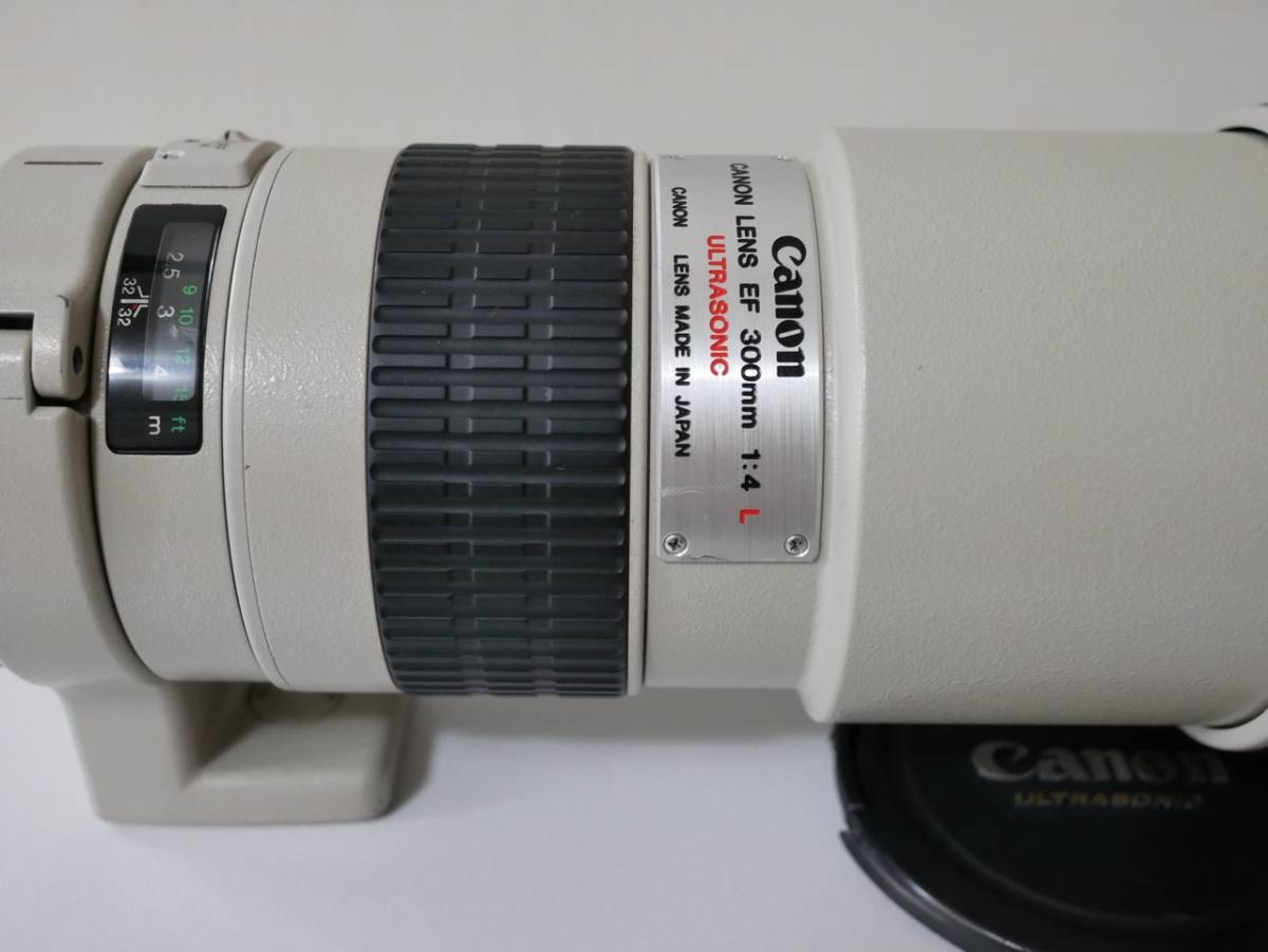 Canon EF300 F4L(箱なし) - coastalcareeracademy.com