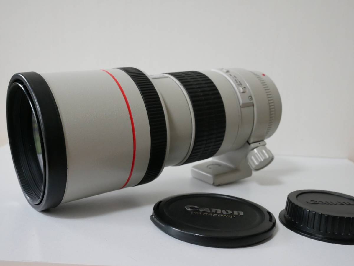 Canon EF300 F4L(箱なし) - coastalcareeracademy.com