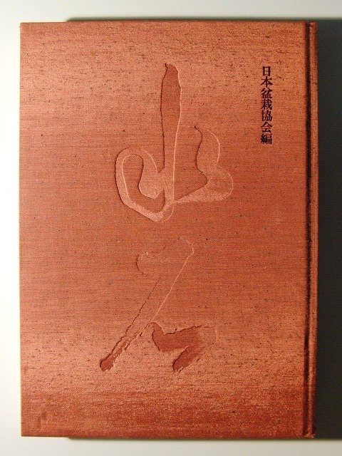 ヤフオク! - 日本盆栽水石名品大系 水石II◇日本盆栽協会