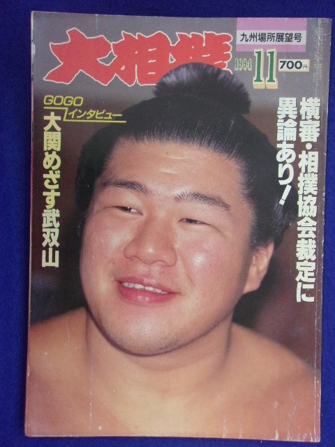 1105 大相撲 1994年11月号