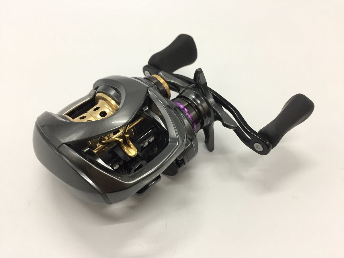 ダイワ(DAIWA) ベイトリール 19 スティーズ CT SV TW 700XHL (2019モデル)-