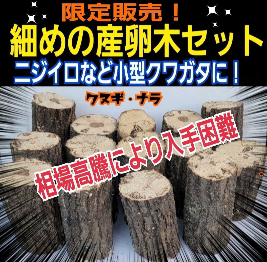 細めの産卵木【4本セット】クヌギ・ナラ☆ニジイロクワガタやコクワなど小型種に最適です！直径7～10センチ☆長さ約13～14センチ 入手困難_画像1