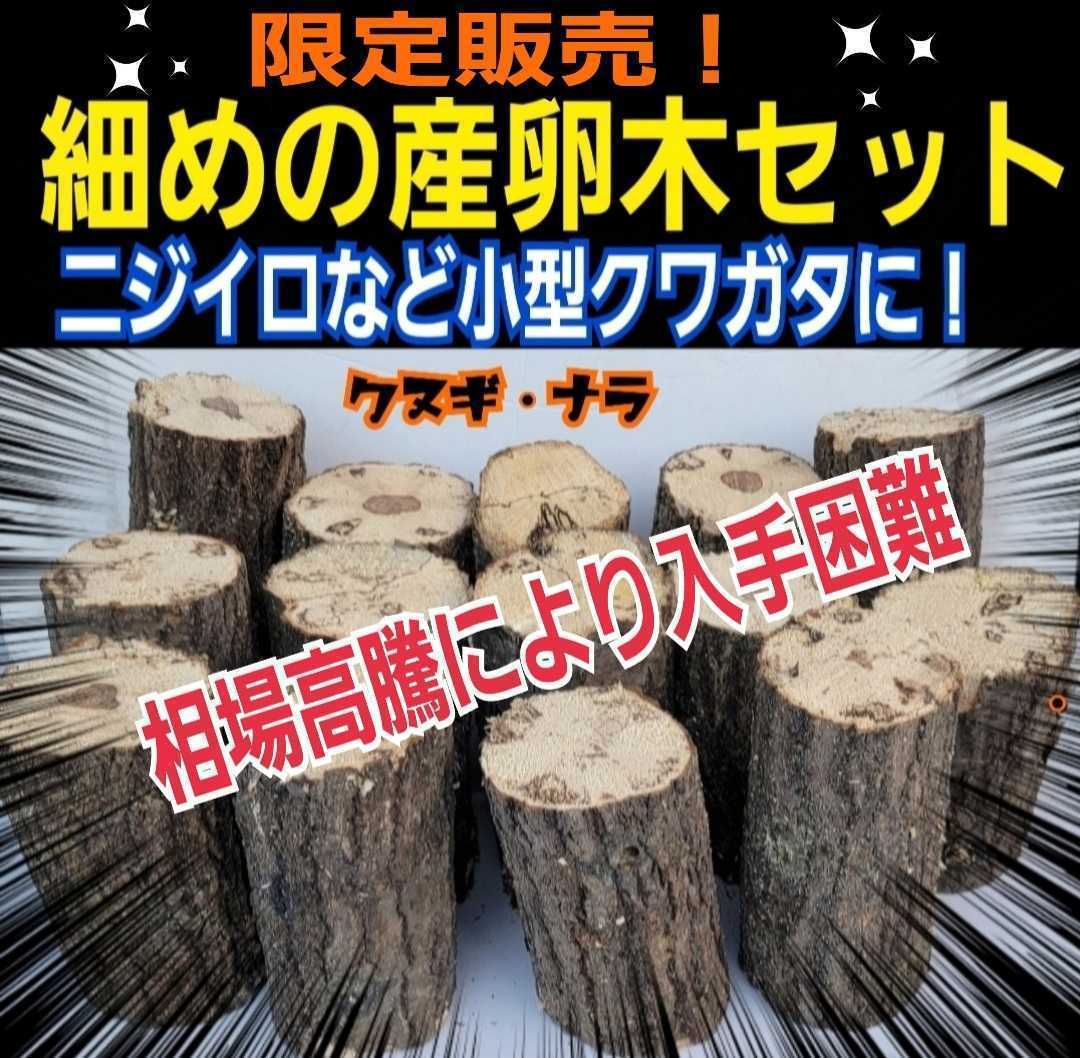 細めの産卵木【5本セット】クヌギ・ナラ☆ニジイロクワガタやコクワなど小型種に最適です！直径7～10センチ☆長さ約13～14センチ☆入手困難_画像1