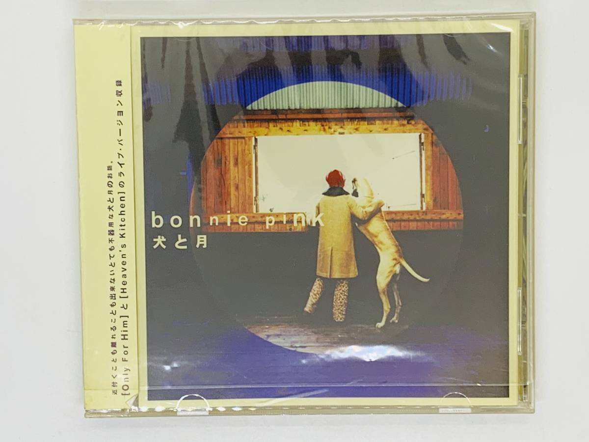 即決CD Bonnie Pink 犬と月 / ボニーピンク / 帯付き 未使用に近い セット買いお得 Z50_画像1