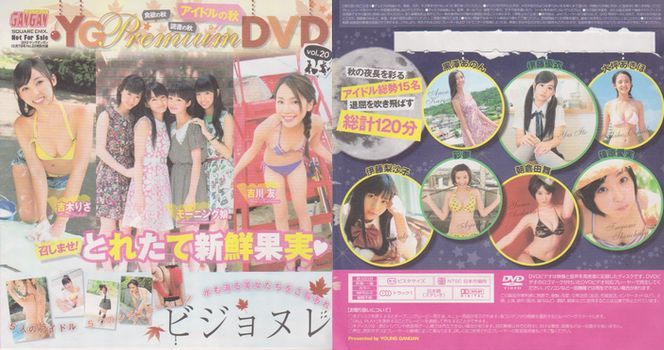 業界No.1 未開封新品 ヤングガンガン 2012 23 付録DVD モーニング娘